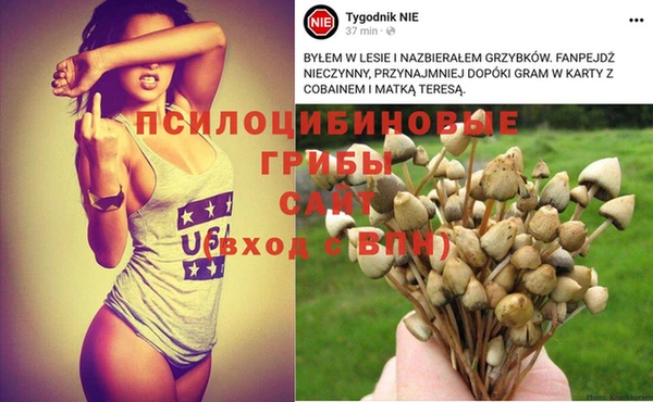 меф Нефтекумск